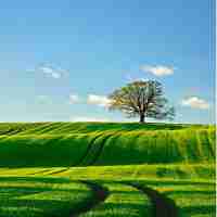 高﻿级﻿算‍法‌工‌程﻿师​